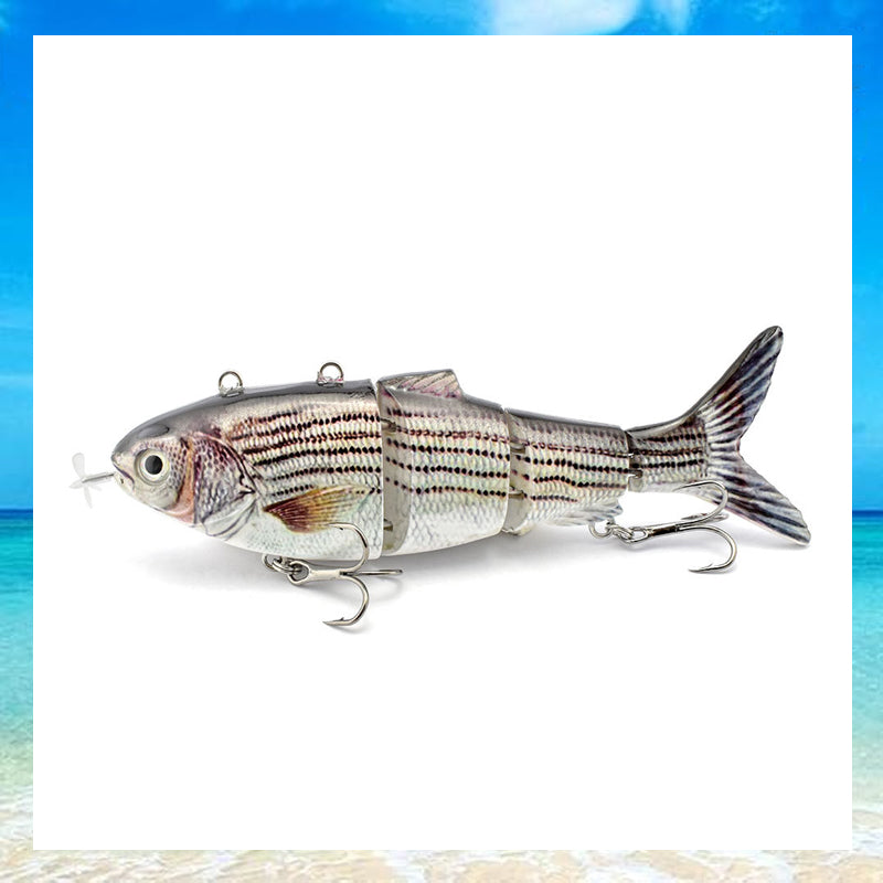 Elektriskt fiskedrag