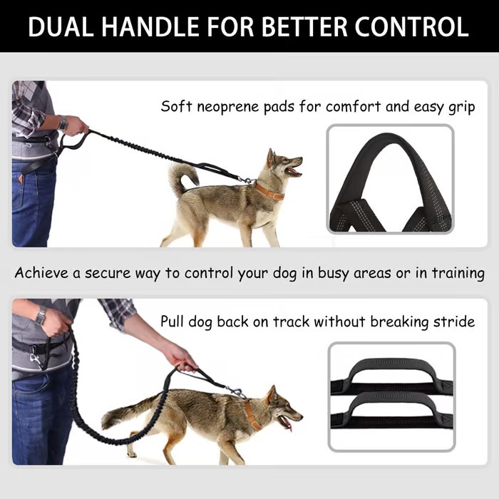 Handsfree Hundkoppel med Praktisk Midjeväska