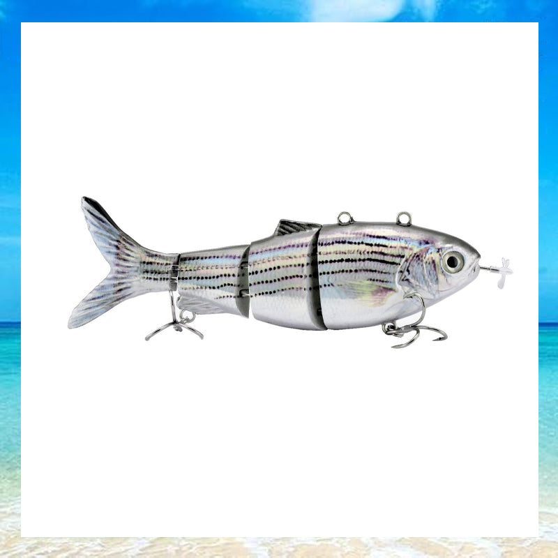 Elektriskt fiskedrag