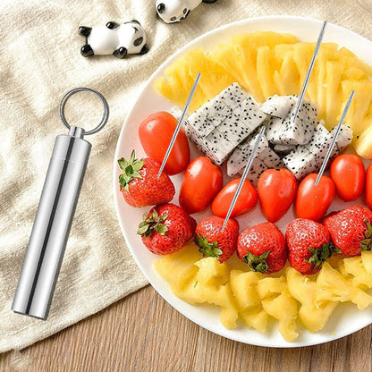 Bärbar Tandpetarsats I Rostfritt Stål